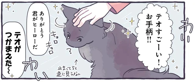 飼い猫がお手柄！家族にほめられて不思議そうなニャンコ