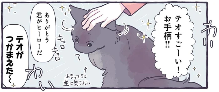 飼い猫がお手柄！家族にほめられて不思議そうなニャンコ