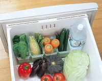 葉ものを冷蔵庫の“野菜室”に入れるのは間違い!? 栄養を損なわない保存方法