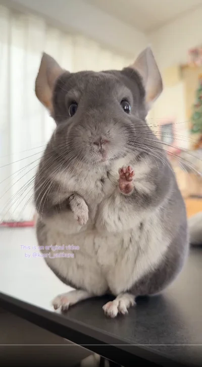 ポーズもばっちり！▶帽子が気になる？（⇒次へ）