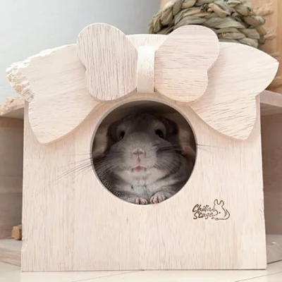 リボンをカジカジいくらちゃん▶いくらちゃんの帽子コレクション（⇒次へ）