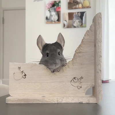 納得のいくまで削り込みます！▶器用に齧ります（⇒次へ）