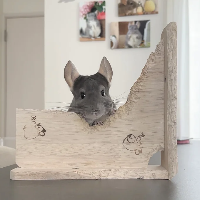 納得のいくまで削り込みます！▶器用に齧ります（⇒次へ）