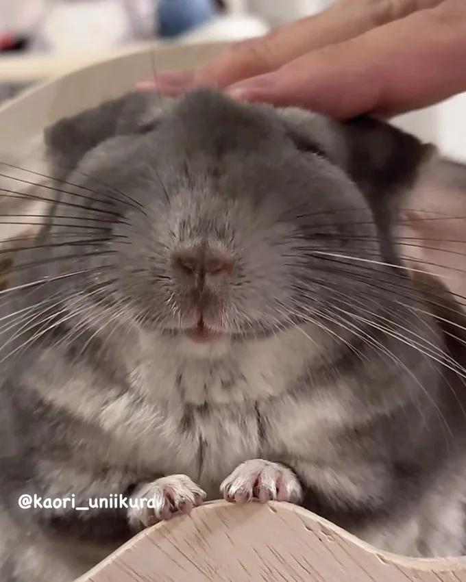 幸せそうなお顔♡▶いくらちゃんのお手手に注目！（⇒次へ）