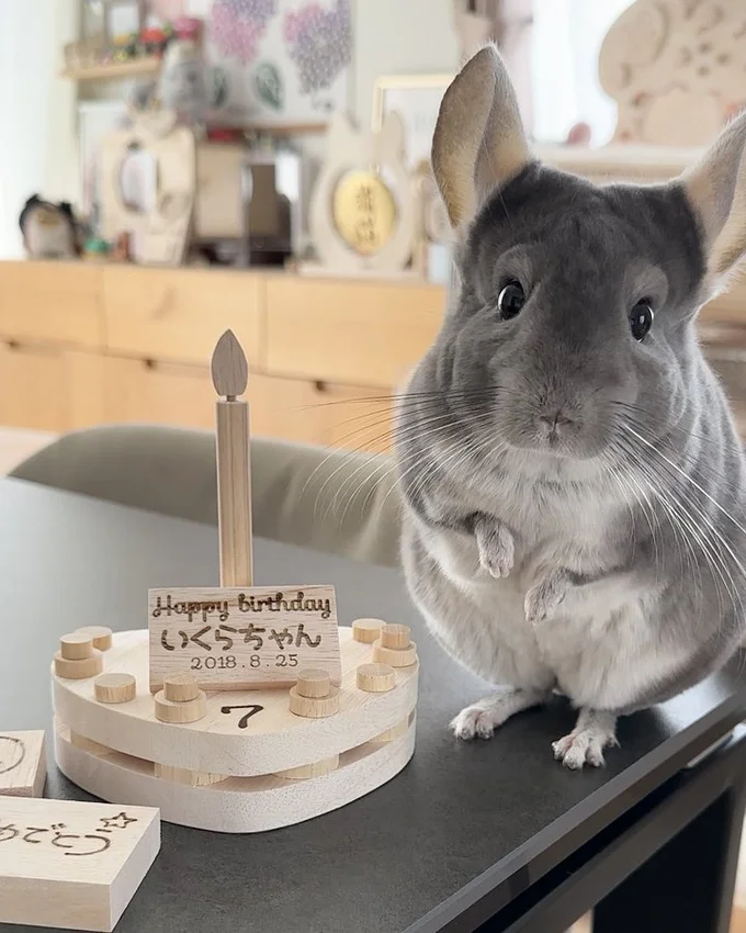 7歳おめでとう♪（次画像からは、ふわもちボディーのハムスターの可愛さがとまらない！『はむはむづくし2』が読めます）