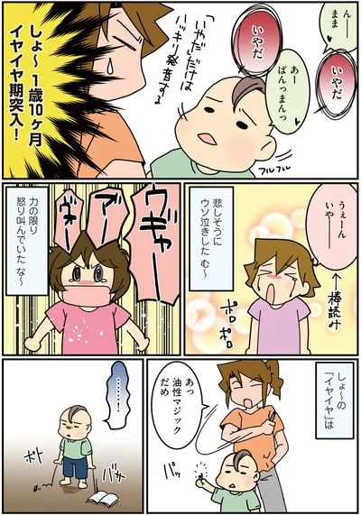 しょ〜イヤイヤ期