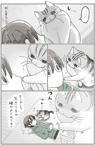 『夜は猫といっしょ8』より