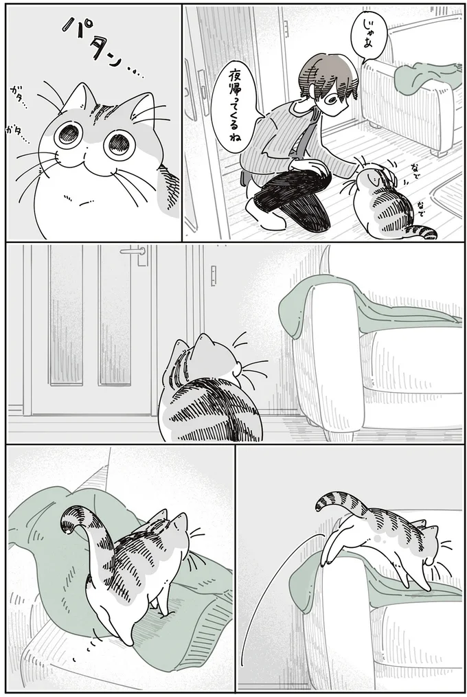 『夜は猫といっしょ8』より