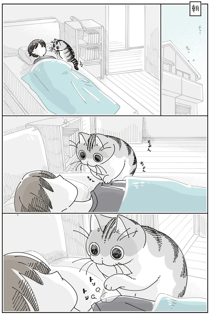 『夜は猫といっしょ8』より