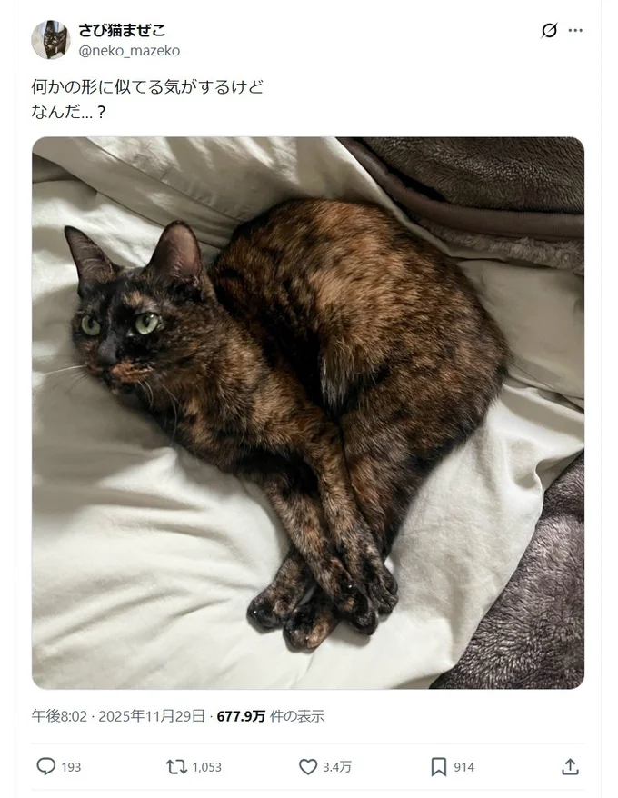 「何かの形に似てる…？」と投稿された姿がこちら！確かに、なんかいろんなものに似てる！（笑）▶コメント欄も（⇒次へ）