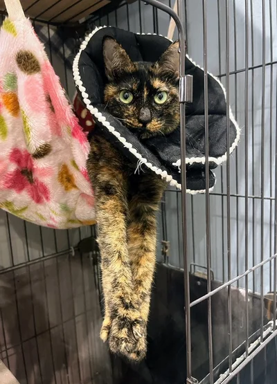 いったい何を表現しているのでしょうか？そういう気分？（笑）▶狭いところを見つけると（⇒次へ）