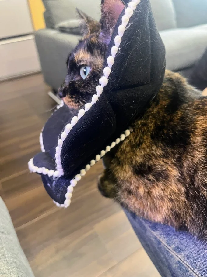 水槽を観察！食べちゃだめですよー！▶両手を出している姿は（⇒次へ）