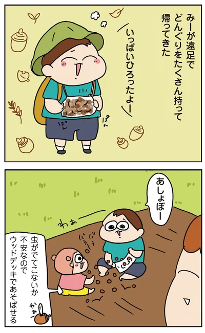 どんぐりをたくさん持って帰ってきた