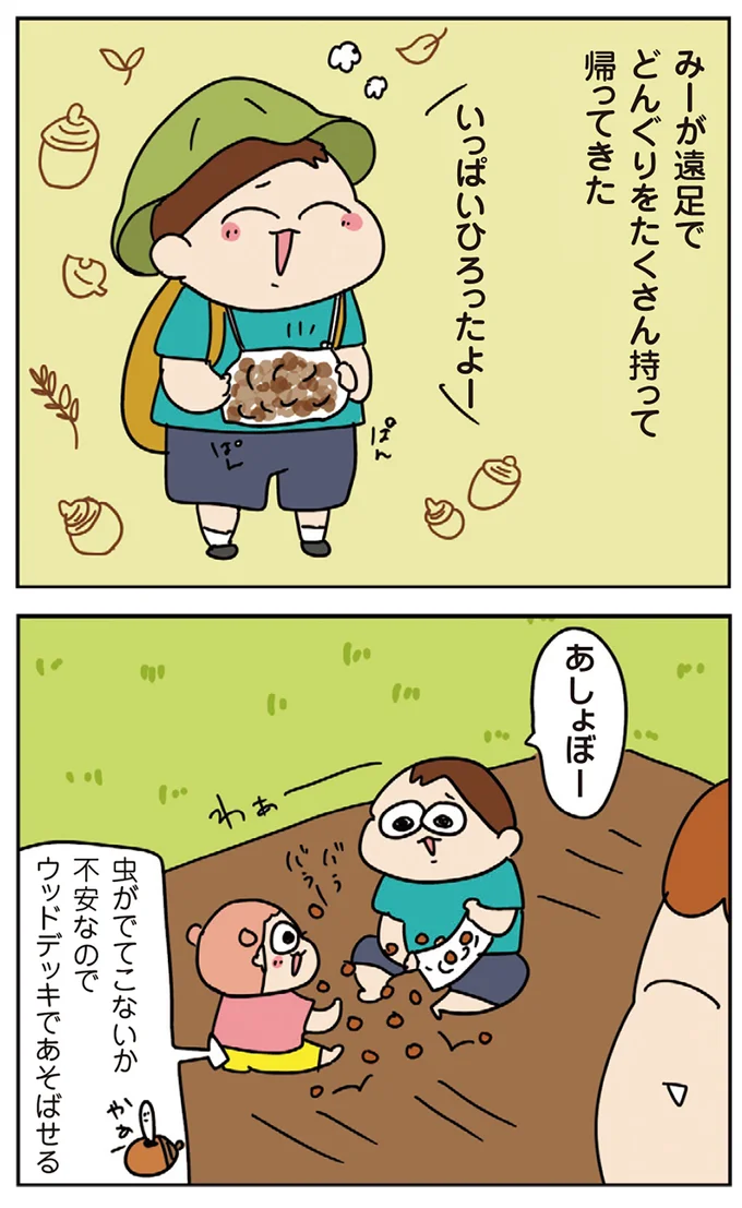 どんぐりをたくさん持って帰ってきた