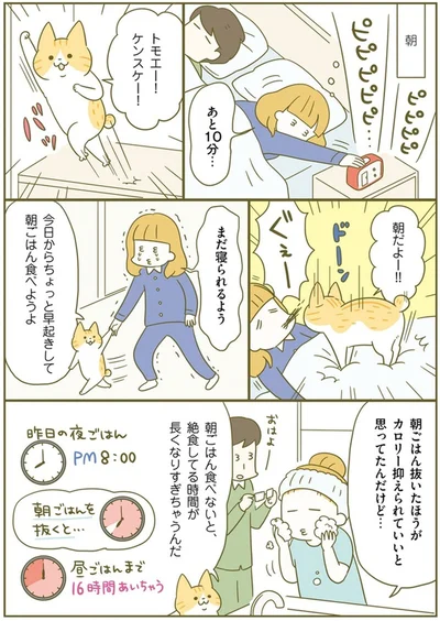 『ズボラでも痩せる！ ネコちゃんのゆるゆるダイエット塾』より