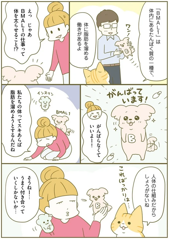『ズボラでも痩せる！ ネコちゃんのゆるゆるダイエット塾』より