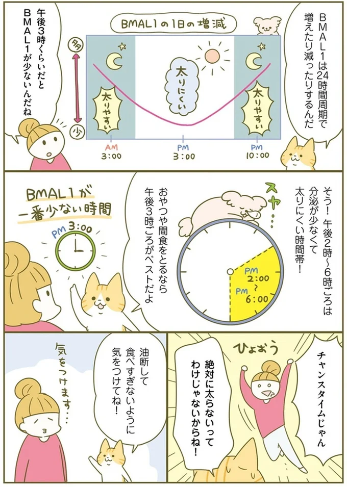 『ズボラでも痩せる！ ネコちゃんのゆるゆるダイエット塾』より