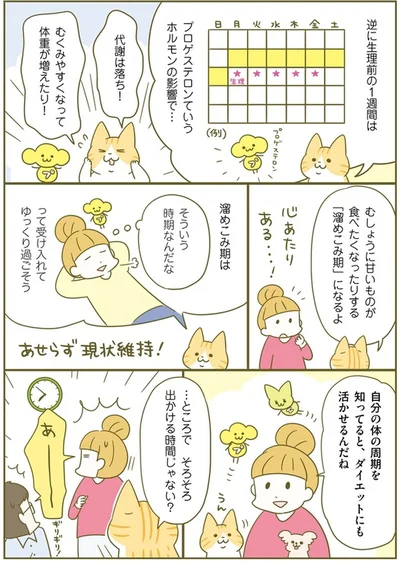 『ズボラでも痩せる！ ネコちゃんのゆるゆるダイエット塾』より