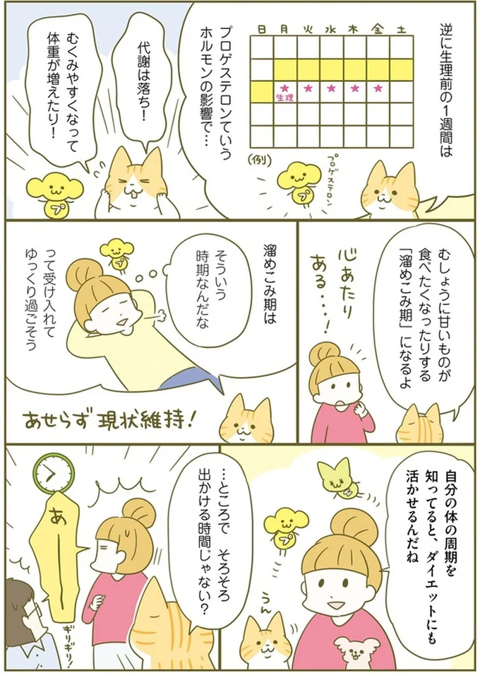 『ズボラでも痩せる！ ネコちゃんのゆるゆるダイエット塾』より