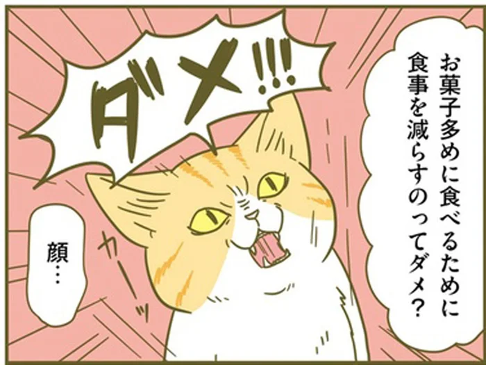 お菓子が大好き！「お菓子を多めに食べるために食事を減らすのってダメ？」