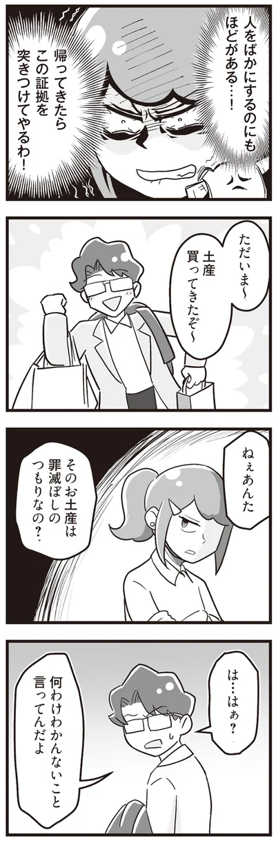 『嫁ぎ先が全員めんどくさい ～私が夫と離婚した理由～』より