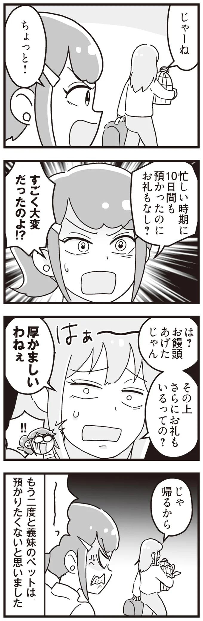 『嫁ぎ先が全員めんどくさい ～私が夫と離婚した理由～』より