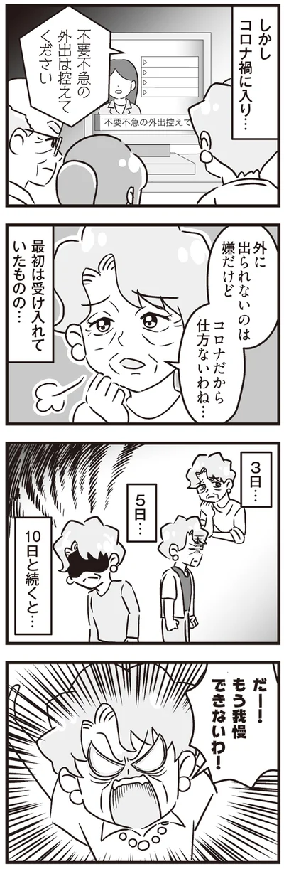 『嫁ぎ先が全員めんどくさい ～私が夫と離婚した理由～』より