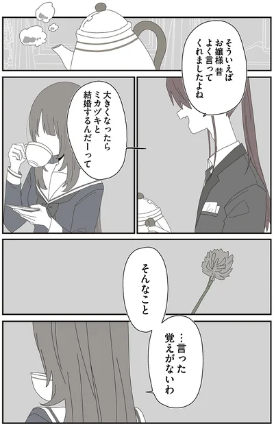 『ミカヅキのお嬢様備忘録 VOL.1』より