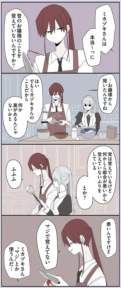 『ミカヅキのお嬢様備忘録 VOL.1』より