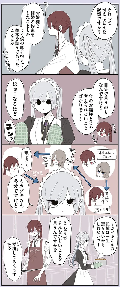 『ミカヅキのお嬢様備忘録 VOL.1』より