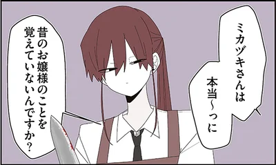 昔のお嬢様のことを覚えていないんですか？