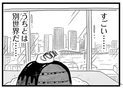 うちとは別世界の風景