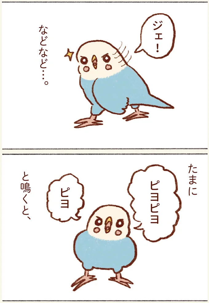 たまにピヨピヨと鳴くと…