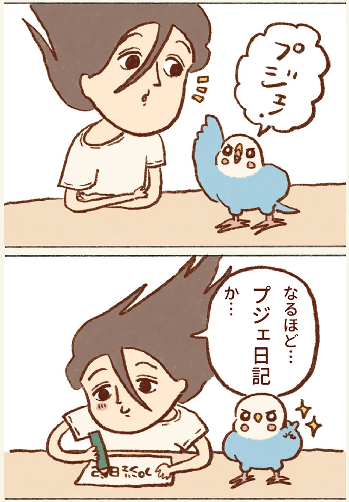 なるほど…プジェ日記か…