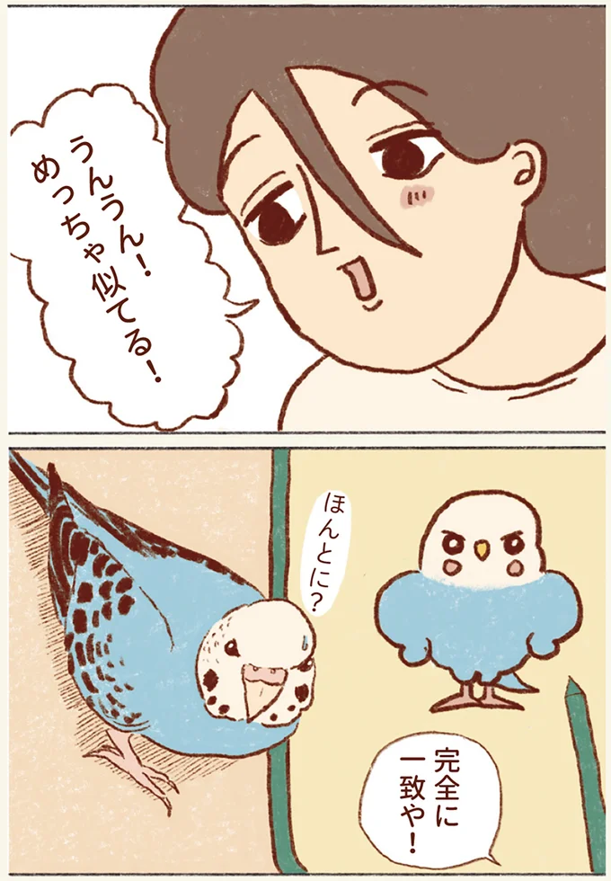 めっちゃ似てる！