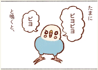 ピヨピヨと鳴くと…