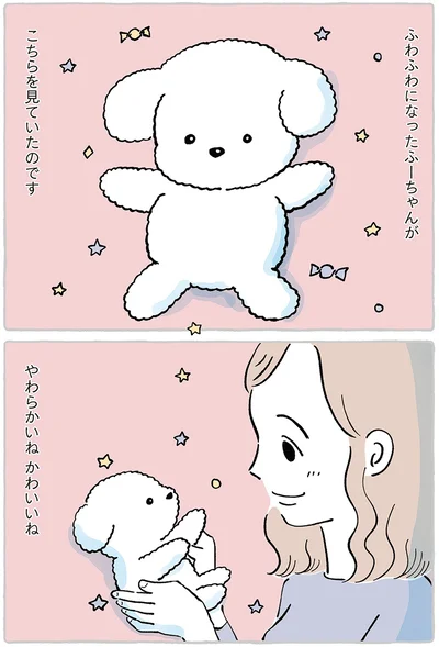 ふわふわになったふーちゃん