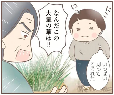 なんだこの大量の草は！！