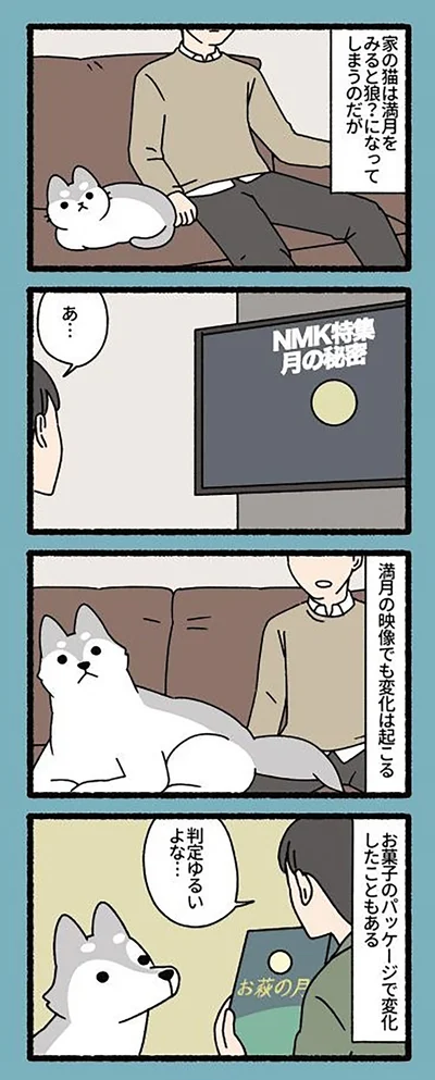 『ねこもんすたー』より