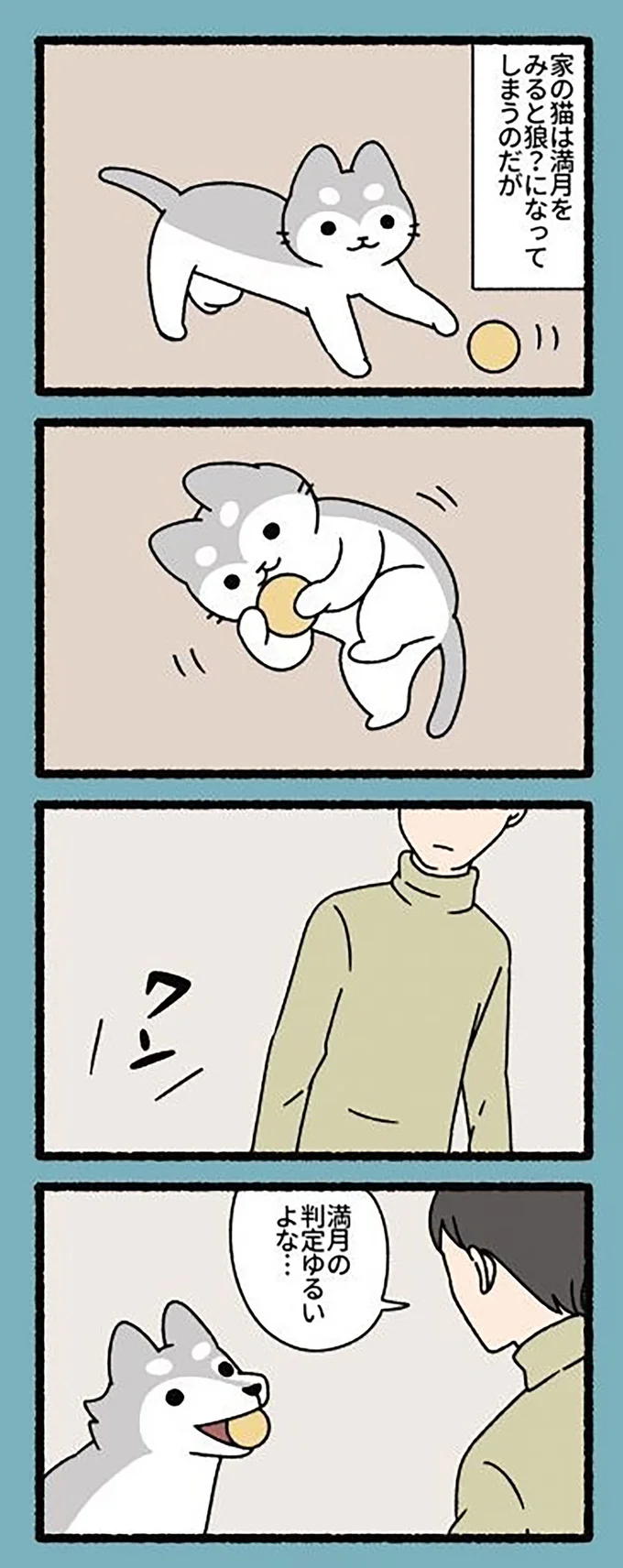 『ねこもんすたー』より