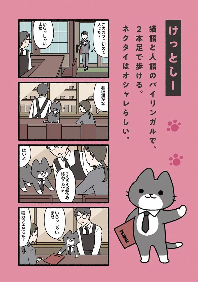 『ねこもんすたー』より