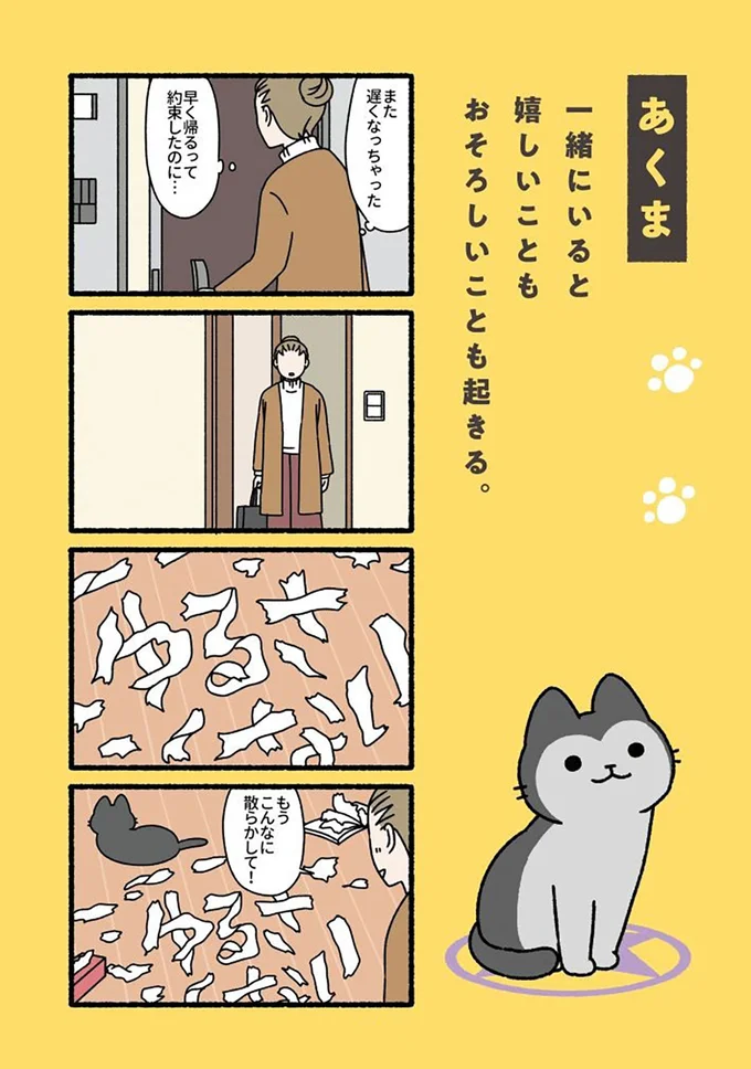 『ねこもんすたー』より
