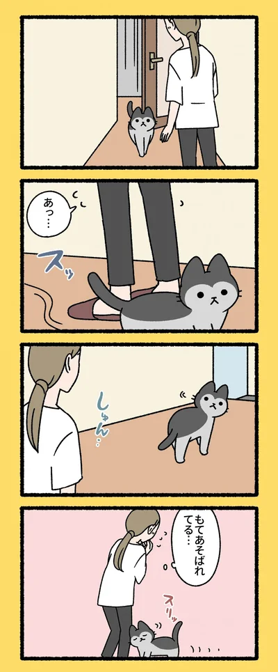 『ねこもんすたー』より