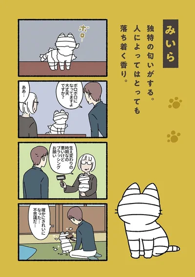 『ねこもんすたー』より