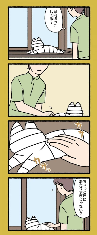 『ねこもんすたー』より