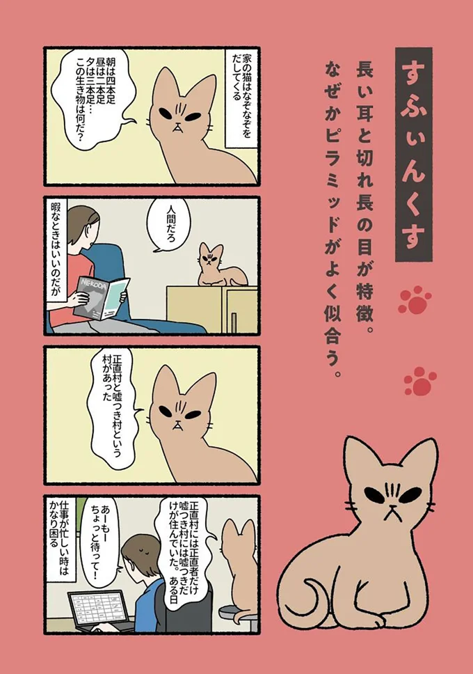 『ねこもんすたー』より