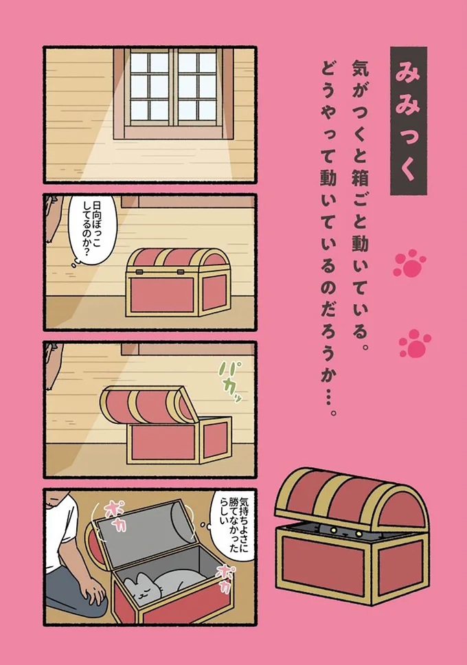 『ねこもんすたー』より