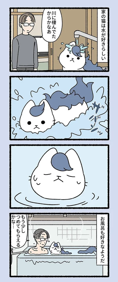 『ねこもんすたー』より