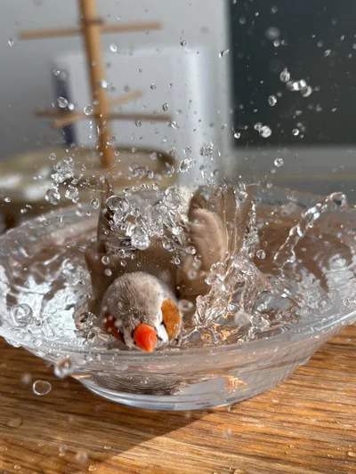 超！ダイナミック！▶こちらはしっぽり…（⇒次へ）