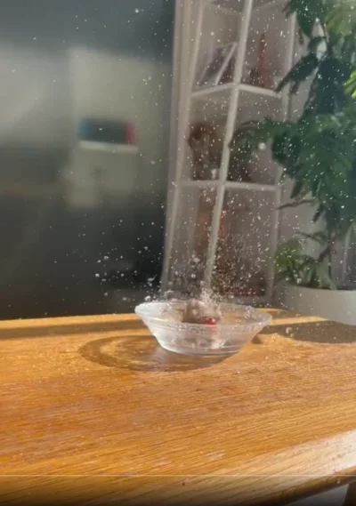 すごい飛沫量！▶落ち着いた…？（⇒次へ）